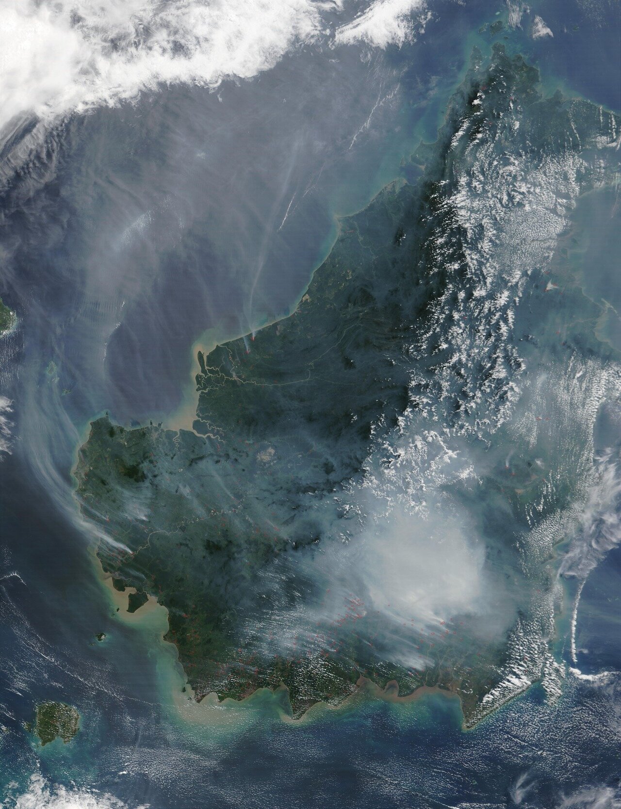 yishan's tweet card. Satellite observations of one of the world's biggest ecological experiments on the island of Borneo have revealed that replanting logged forests with diverse mixtures of seedlings can significantly...