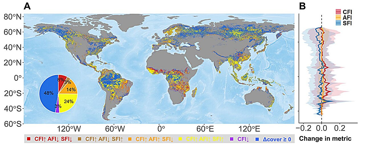 AgathoniaMedia's tweet card. Deforestation is a well-known issue affecting biodiversity and carbon storage, but the fragmentation of forests is also a driving factor in the reduction of the world's biodiversity and carbon-stor...