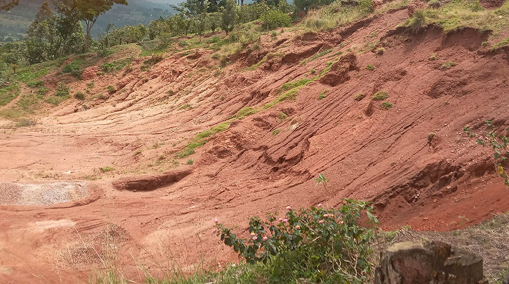 newvisionwire's tweet card. Mabanga is prone to mudslides whenever it rains heavily. According to Bogere, the degradation of the hills through stone quarrying and poor cultivation methods has left them bare, exposing them to...