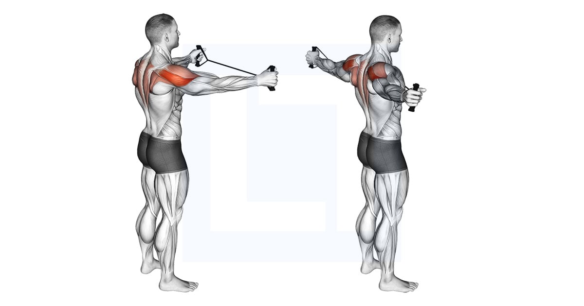 LiftManual's tweet card. Read our band pull apart guide. Learn how to do this exercise, the muscles worked, and the main benefits.