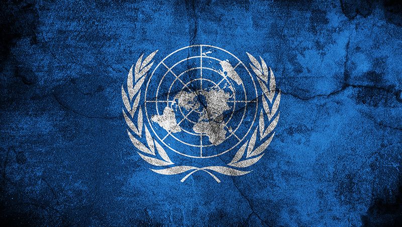 EFF's tweet card. Although a UN committee is fleshing out a new international cyber crime treaty, experts question whether it’ll make any positive difference to businesses