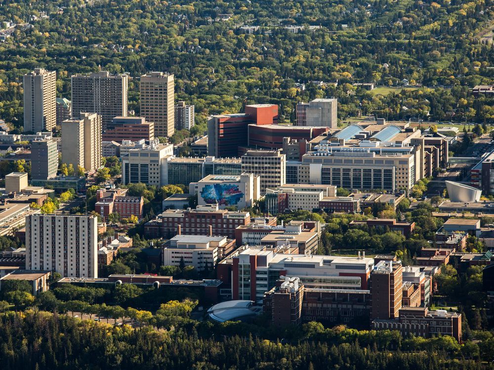 ProgrammerCraig's tweet card. Alberta artificial intelligence research gets $1.6-million boost