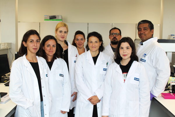 VIB_Switch_Lab's tweet card. Twin4Promis unites EU scientists, including VIB's Switch Lab, to tackle protein aggregation, advancing research through cross-border collaboration.