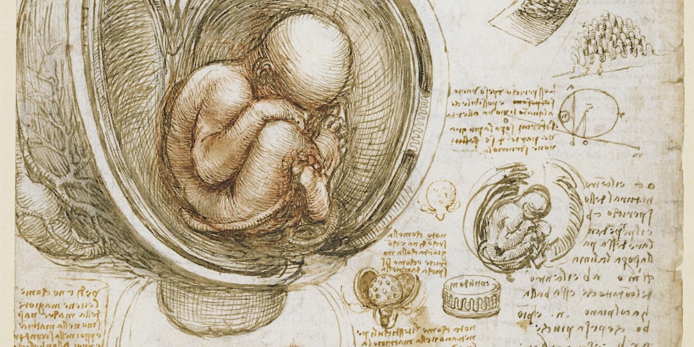 ICMS_Edinburgh's tweet card. A Christmas lecture open to the public at ICMS - ONLINE ONLY