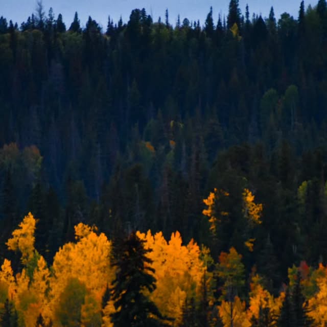 Matrixester's tweet card. Visit Pinetop-Lakeside AZ (@visitpinetoplakeside) • Instagram photos and videos