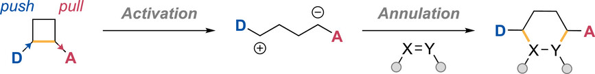 HelvChimActa's tweet card. Reviewing the rise of donor-acceptor cyclobutanes in (4 + 2) annulations, from Lewis/Brønsted acid to electrocatalysis, enabling stereoselective access to complex heterocycles and natural products.