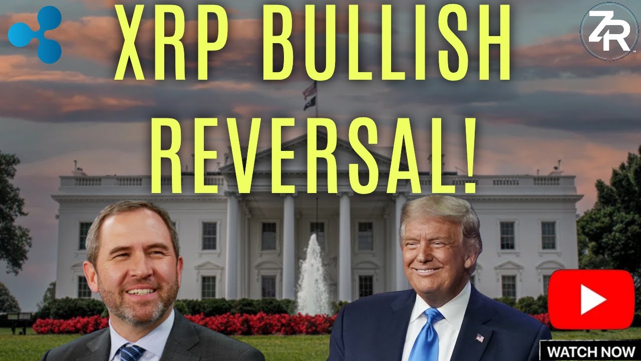 ZachRector7's tweet card. XRP Bullish Reversal!