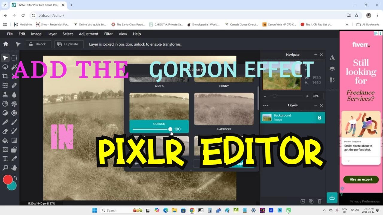brantamediacom's tweet card. This is a video demonstration on adding the Gordon effect to an image in Pixlr Editor. This is the free online desktop version of Pixlr Editor. The software videos seen on Rumble channel DemoDeck are