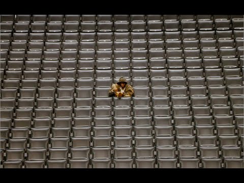 YBsnippet's tweet card. YoungBoy Never Broke Again - Shark [Official Music Video]