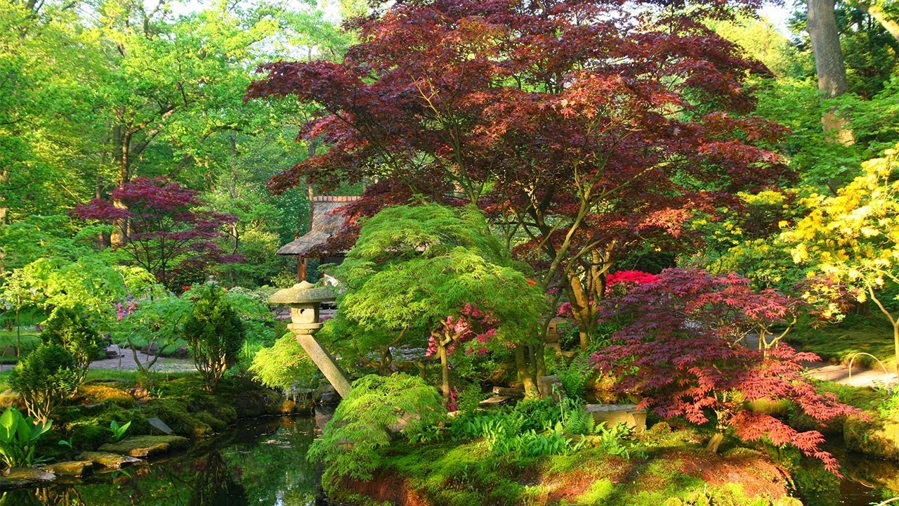 unityinharmony's tweet card. Unity in Harmony - Forest Diaries 1: Clingendael (Japanese Garden)