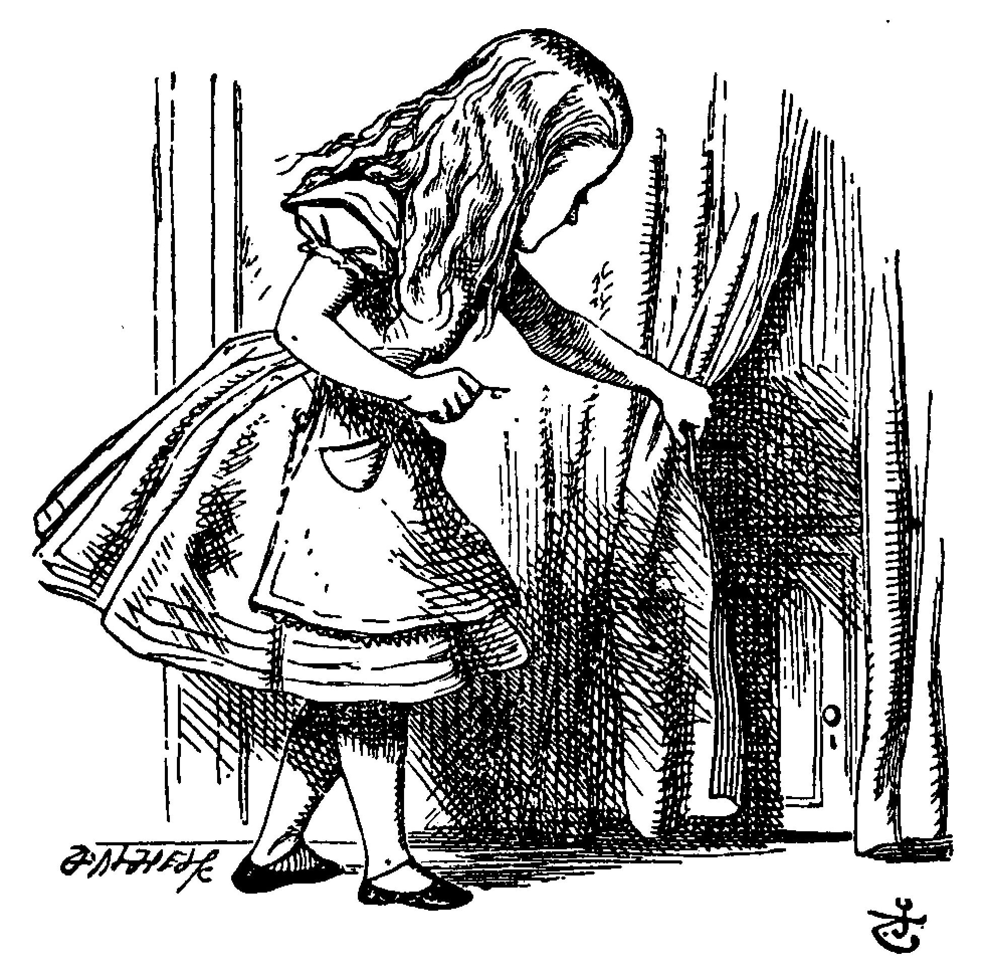 BugKayHacks's tweet card. Fall down the rabbit hole and enter wonderland.