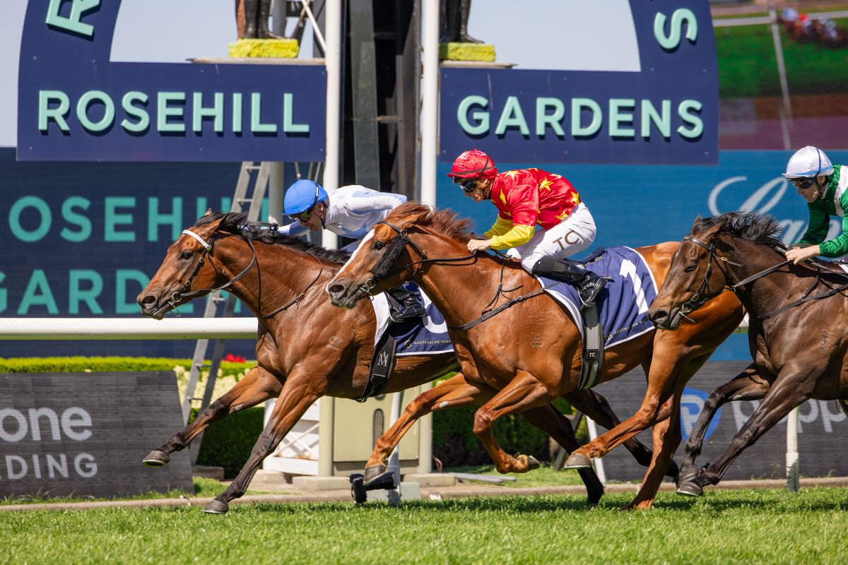 TTRAusNZ's tweet card. A $120,000 Magic Millions Gold Coast purchase, Hidden Motive was named Buy of the Weekend after landing the G2 Roman Consul Stakes at Rosehill. Kurrinda Bloodstock and partners now have their sights...