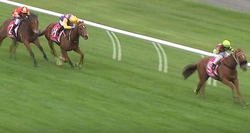 scoringup's tweet card. SWIFT FORCE IMPRESSES ON DEBUT AT MOWBRAY. Swift Force, a three-year-old filly by Magnus out of the More Than Ready mare Fast And Ready, made a striking debut at Mowbray on Sunday, claiming victory...