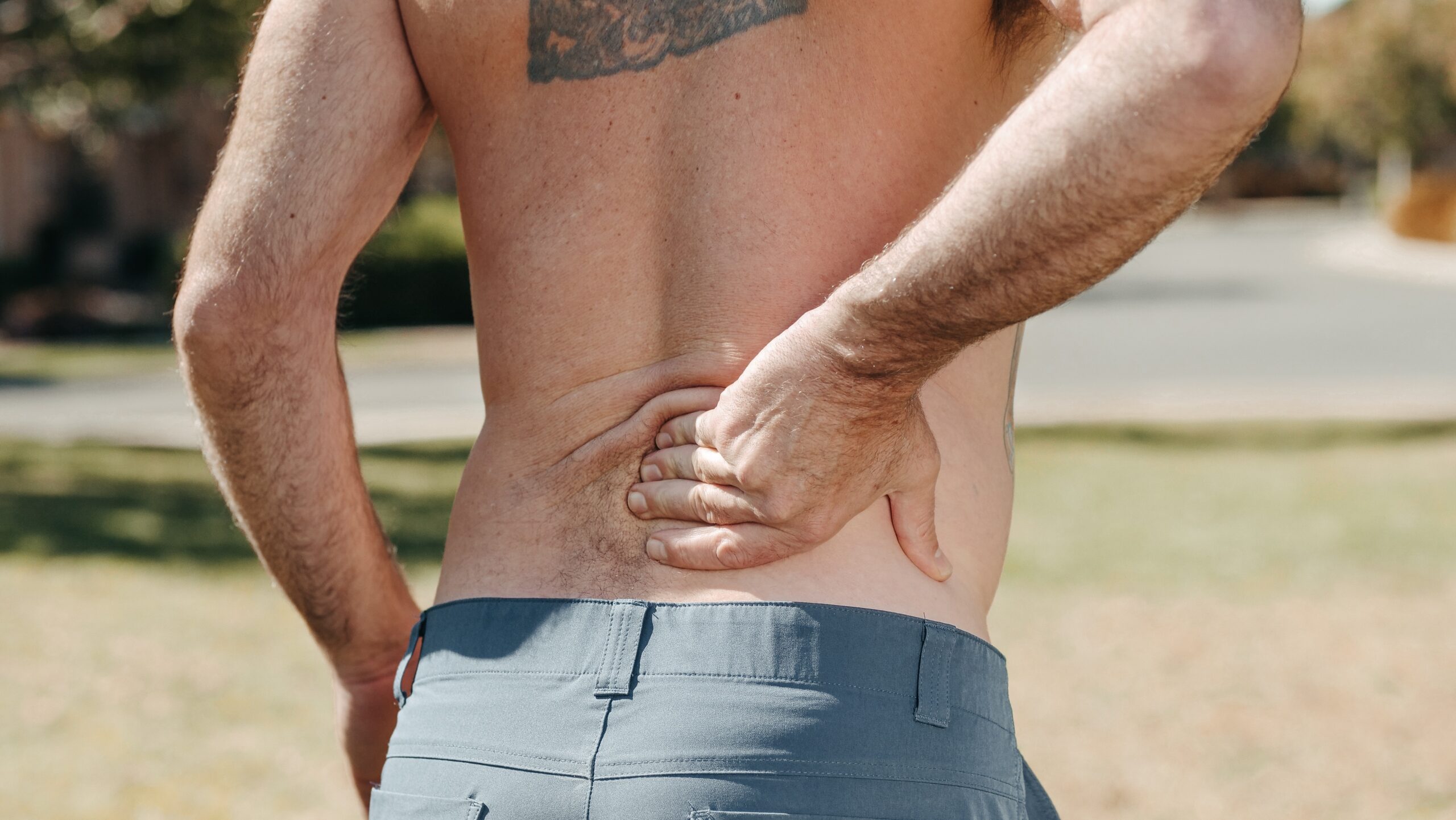 Primal_Patterns's tweet card. In my many years as a fitness professional, I have seen countless people complaining about back pain, not just the old, even the young. It is becoming increasingly common. However, it is not someth...