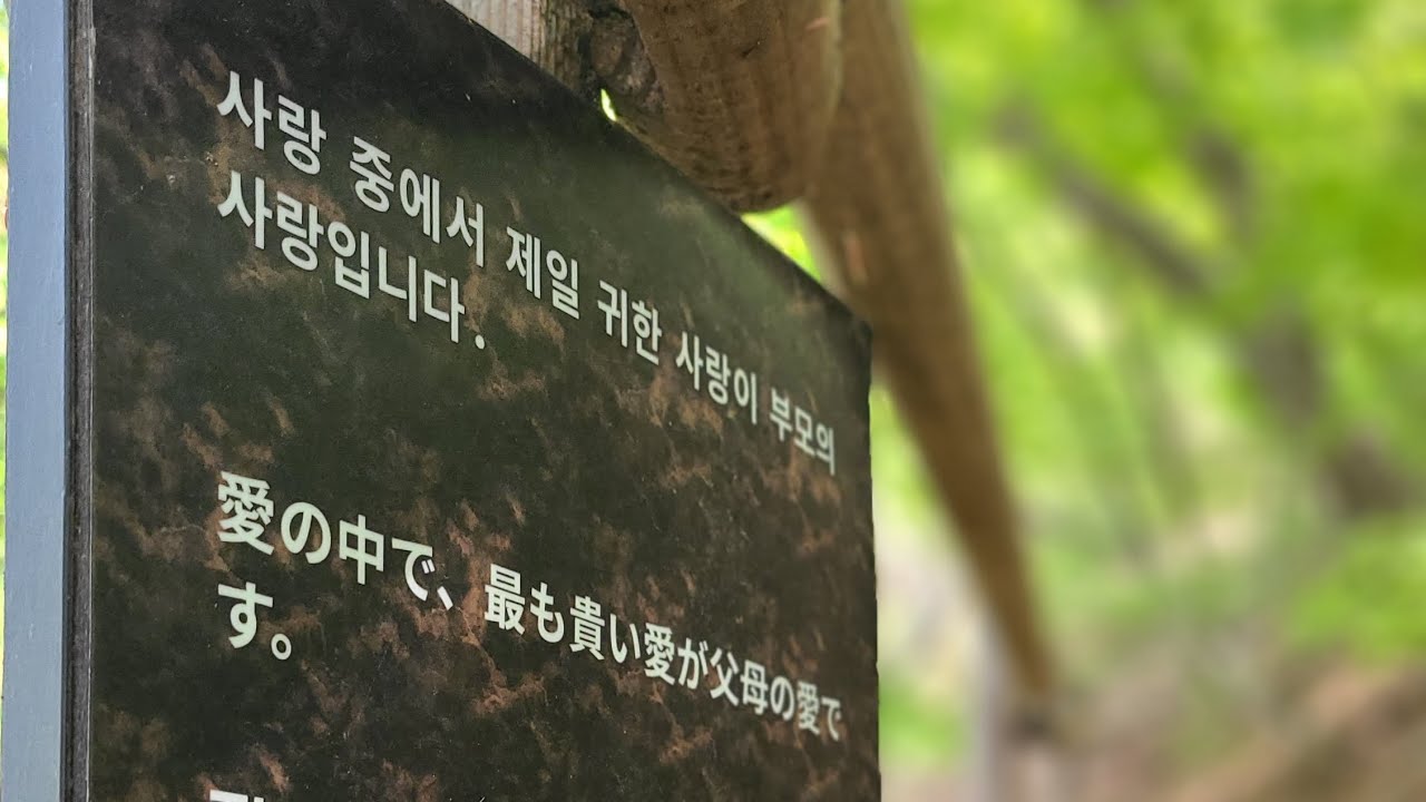 hTbIn5gNP984117's tweet card. 真のお母様の道の写真 | 참어머님길 사진 | Photos on the Path of True Mother.