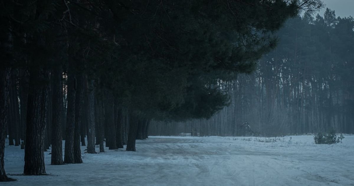 makeaiprompt's tweet card. Sora Supernatural Investigation Movie Prompt: The key supernatural event is subtle but deeply unsettling. As the investigator finishes her whispered...