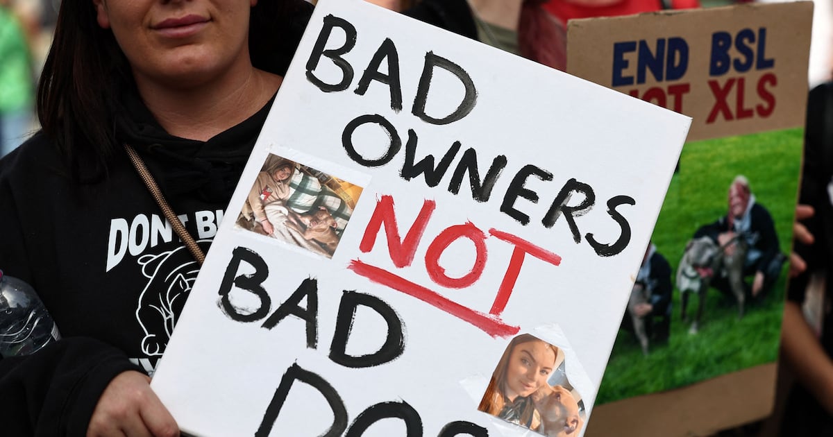 BerniceHarrison's tweet card. In the News podcast: Canine behaviourist Nanci Creedon on the nature of fighting dogs