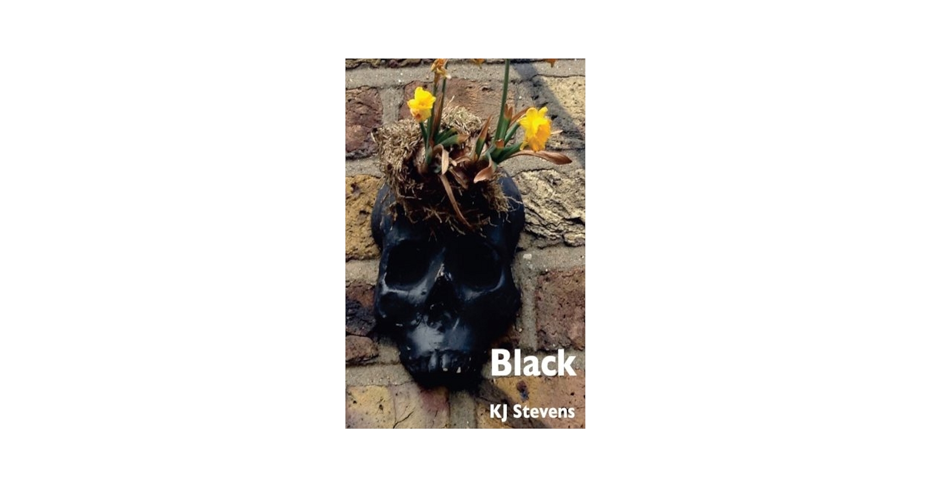 writerkjs's tweet card. 'Black' is the story of Aden. He is smart, but his self-destructive nature prevents him from leading a fulfilled life. Aden is in danger of becoming another in a long line of local drunks and any...
