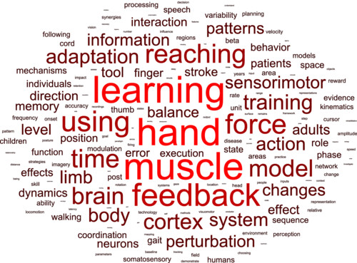 ncm_soc's tweet card. The 33rd Annual Meeting of the Society for the Neural Control of Movement (NCM) brought together over 500 experts to discuss recent advancements in motor control. This article highlights key topics...