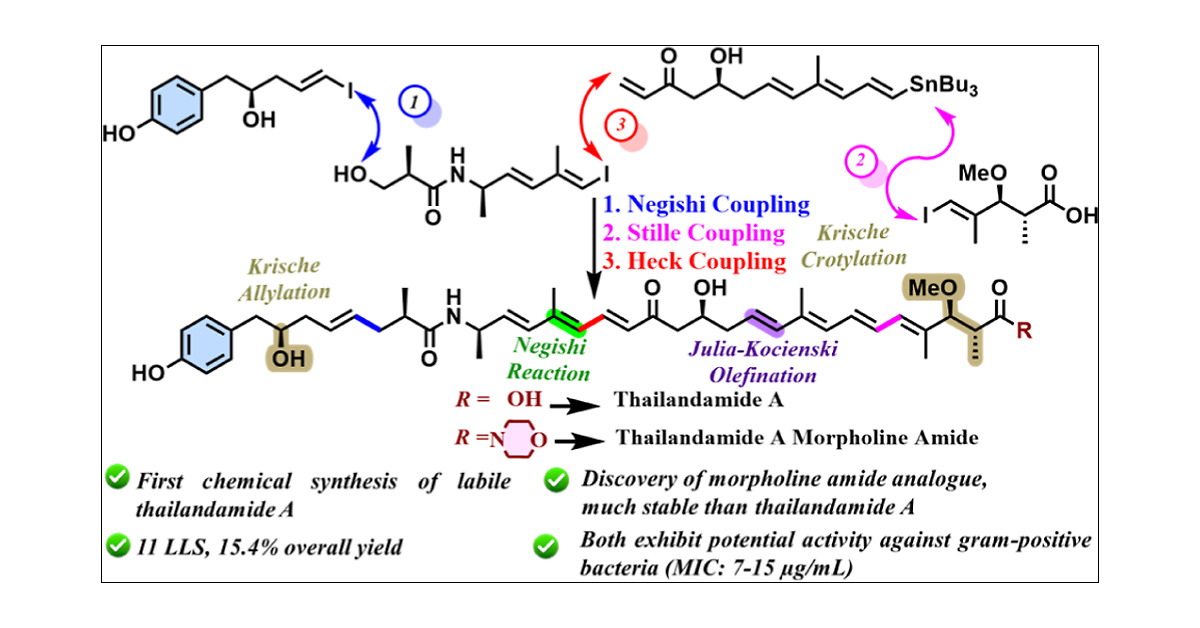 himangshuchem's tweet card. First, a chemical route for the stereoselective total synthesis of structurally challenging and labile polyketide natural product thailandamide A has been disclosed. The key features of the synthesis...