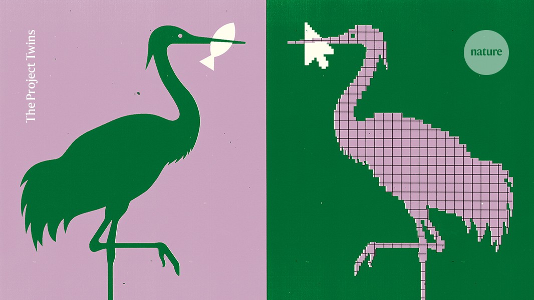 Nature's tweet card. Nature - ‘Digital twins’ of real-world objects are moving from manufacturing to wildlife management.