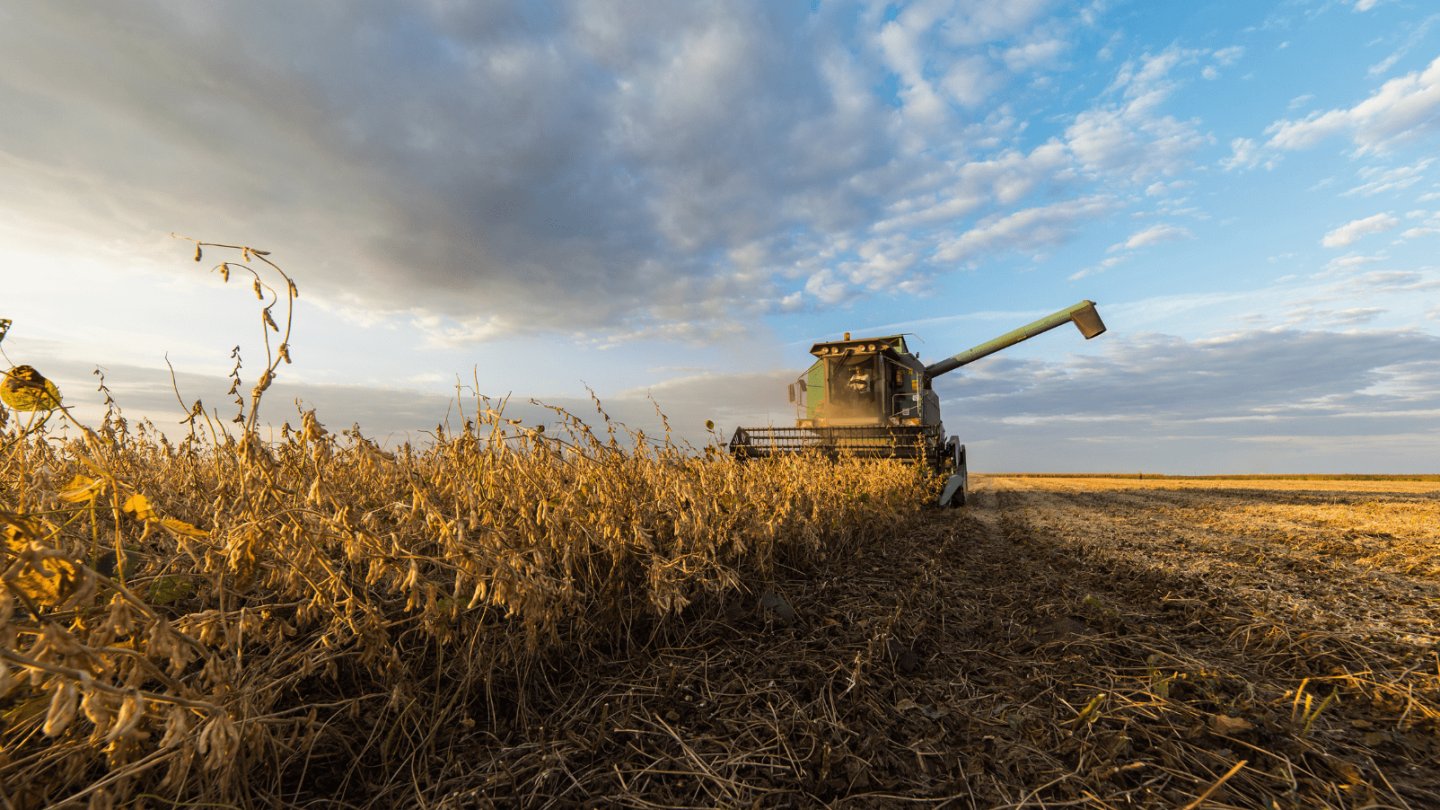 AgWebEditor's tweet card. Learn how ideal soybean maturity groups can optimize yield and profitability.