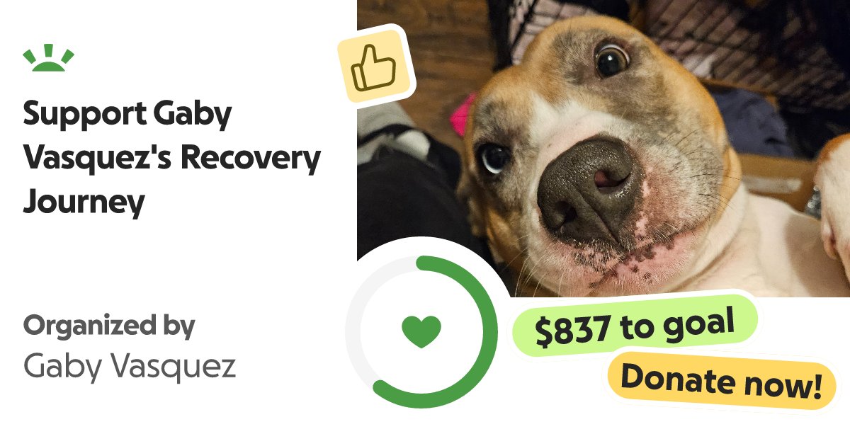 kawaii17cute's tweet card. Hi, my name is Gaby Vasquez. I'm 26 years old and own 2 wonderful dogs, and I’m c… Gaby Vasquez needs your support for Support Gaby Vasquez's Recovery Journey