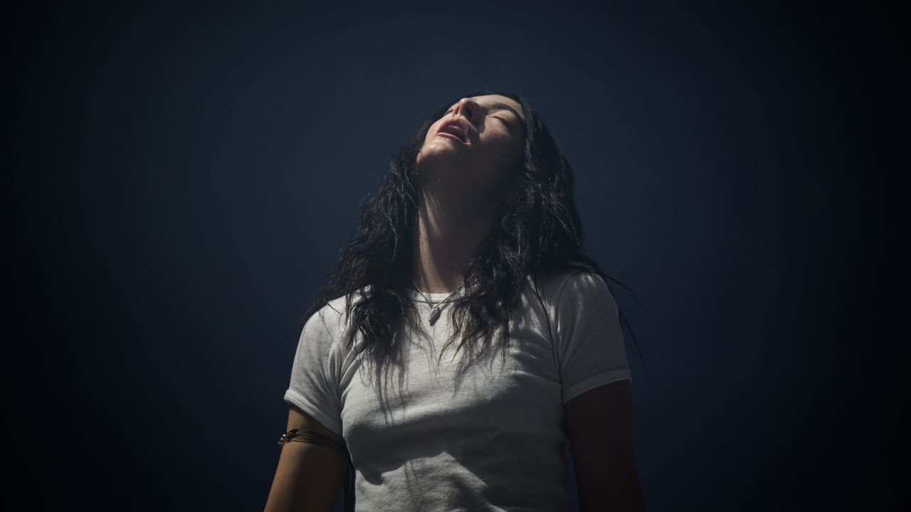 pitchfork's tweet card. Hayley Williams, Dry Cleaning, Idles, and Caroline are among the new slate of artists to take part in the streaming embargo