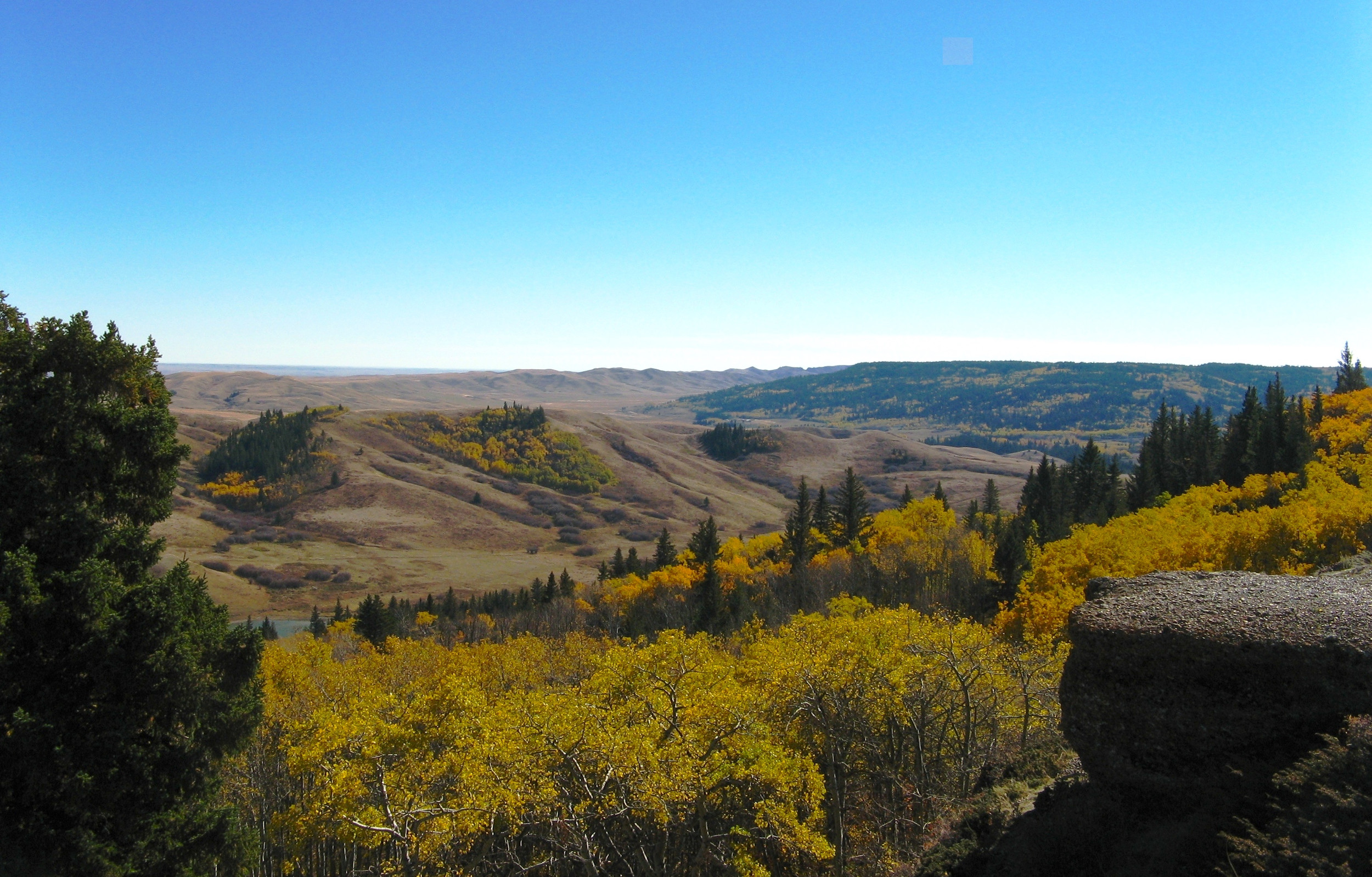 FossilCoastCo's tweet card. Sip back and discover Canada and explore the fossils and geodiversity of Cypress Hills, a striking erosional plateau spanning Alberta and Saskatchewan. Home to Oligocene–Miocene mammal fossils this...