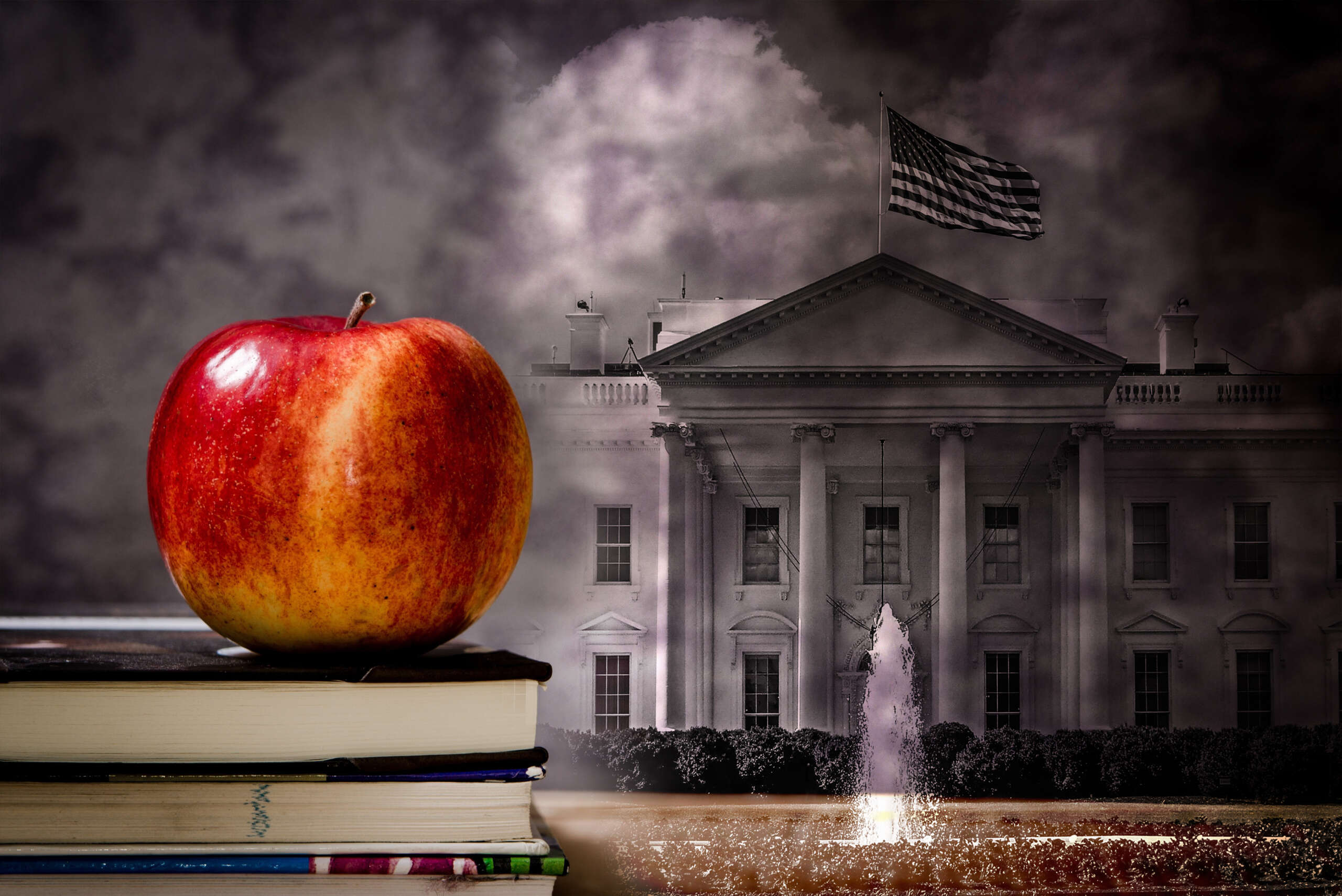 progsec's tweet card. The Trump administration targeted the programs in its attacks on diversity…