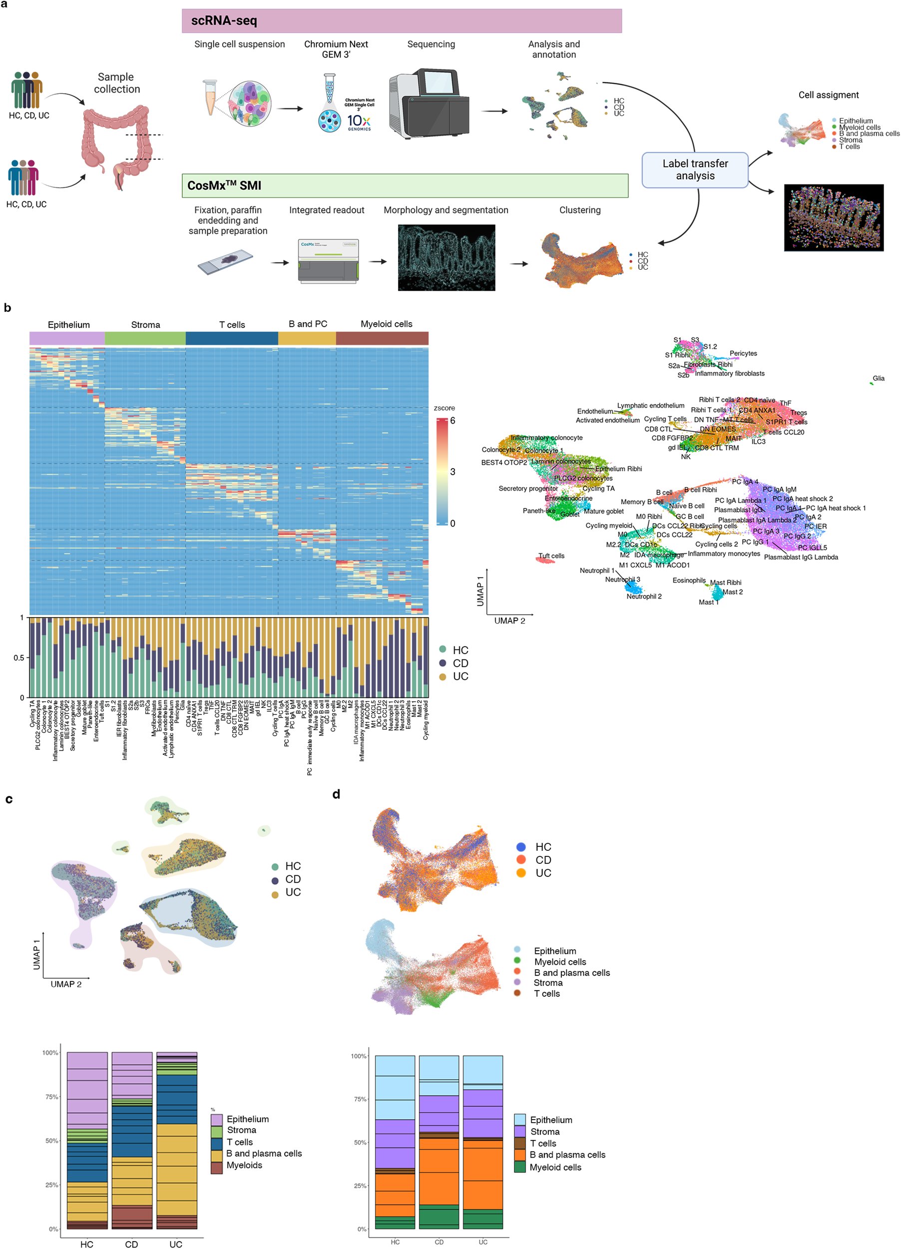 Acorrama's tweet card. Nature Communications - Chronic intestinal inflammatory diseases including ulcerative colitis and Crohn’s disease display extensive heterogeneity in the immunopathology, disease manifestation...