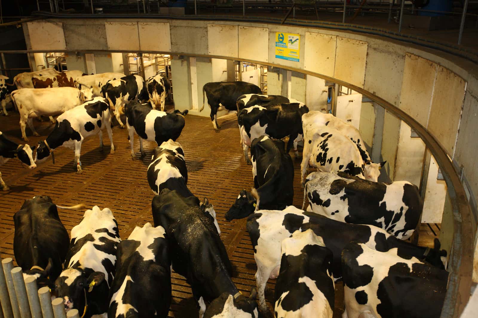 topagrar's tweet card. Lemmer-Fullwood hat ein neues Tool zur Zellzahlmessung für den M2erlin Melkroboter auf den Markt gebracht.