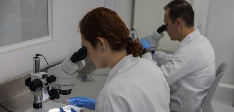 UPI's tweet card. The world's largest factory that produces mosquitoes that can prevent dengue, Zika and chikungunya viruses from reproducing has opened in Curitiba, Brazil.