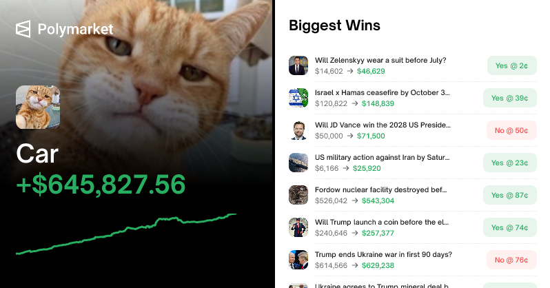 Tweet card summary image