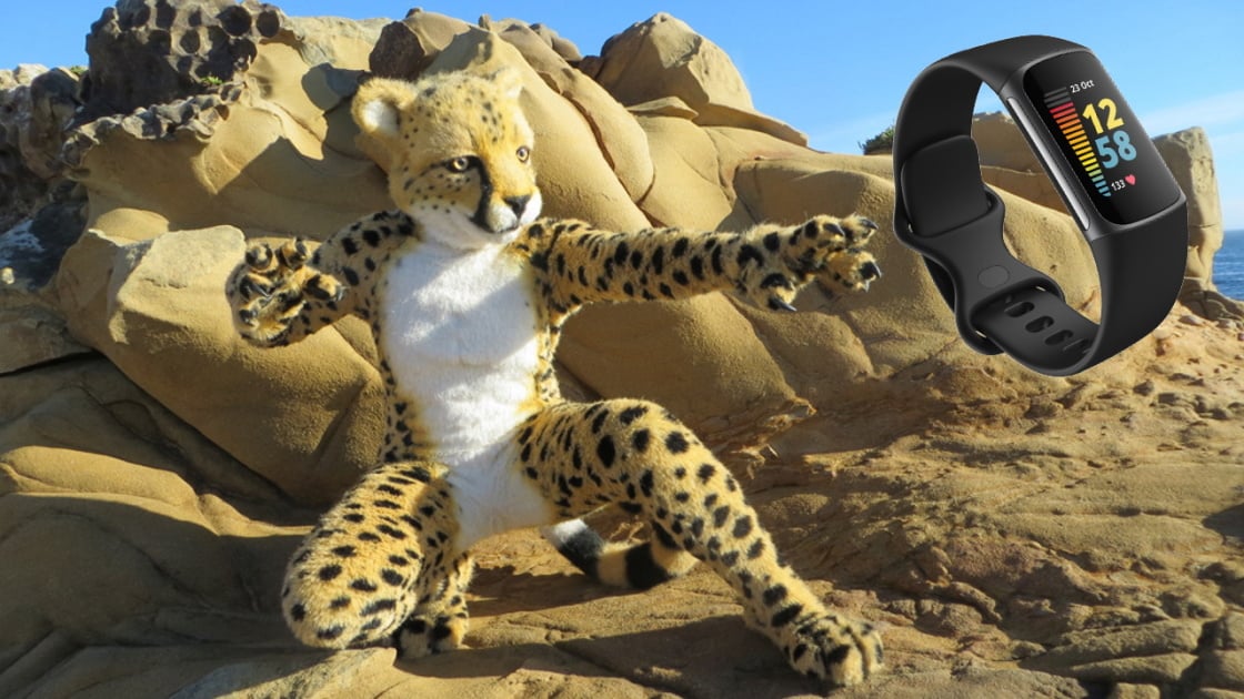 PCMag's tweet card. Dr. David Benaron is an inventor whose team at Stanford laid the groundwork for the optical heart rate monitor. He's also a cheetah named Spottacus.