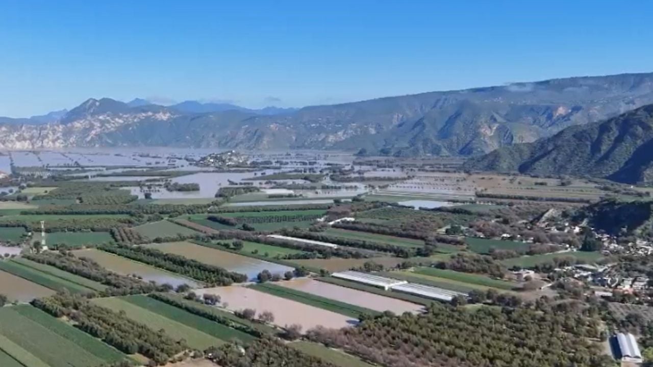 LsrHidalgo's tweet card. Las intensas lluvias provocaron el desbordamiento del río dejando bajo el agua amplias zonas de cultivo que representan pérdidas millonarias
