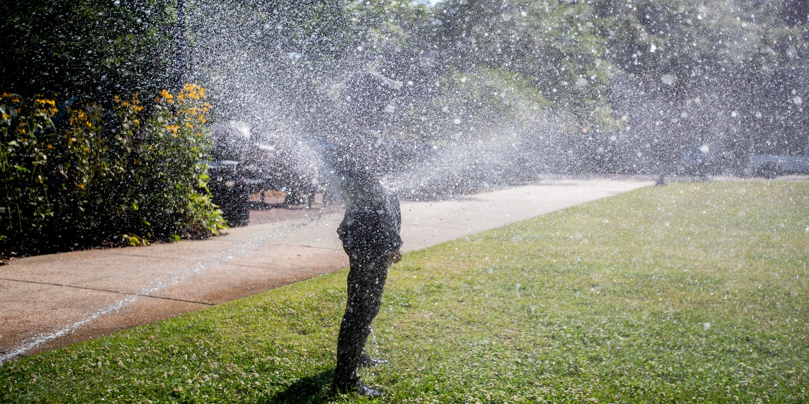 FSView's tweet card. Recent comments from Florida Governor Ron DeSantis reignite debate on the use of sprinklers at an FSU protest last year.