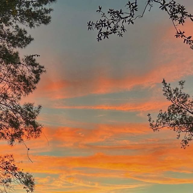 VCSLearn2Tech's tweet card. Michael Anthony (@macicchetti) • Instagram photos and videos
