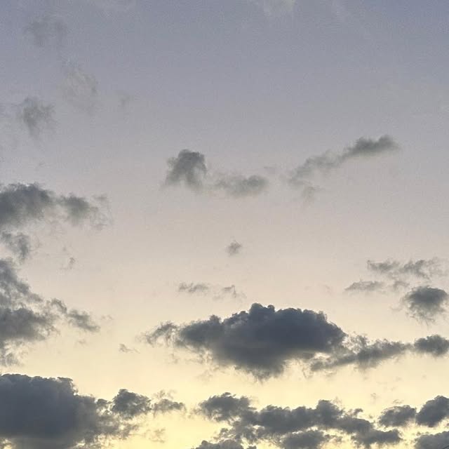 VCSLearn2Tech's tweet card. Michael Anthony (@macicchetti) • Instagram photos and videos