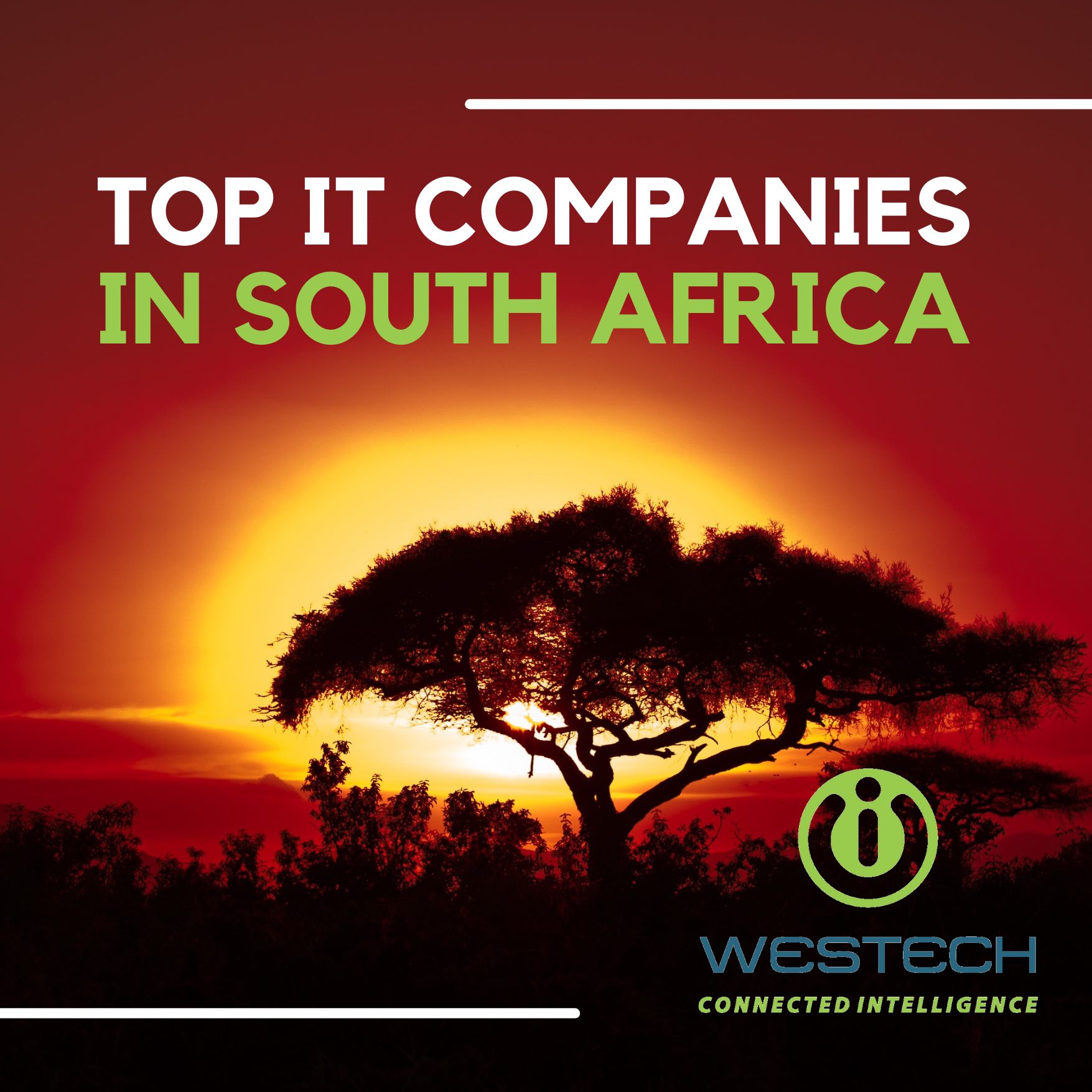 WestechConnect's tweet card. January 2024 – A noteworthy 96 of the South Africa’s organisations secured positions in the list of the continent's top IT companies, with South African