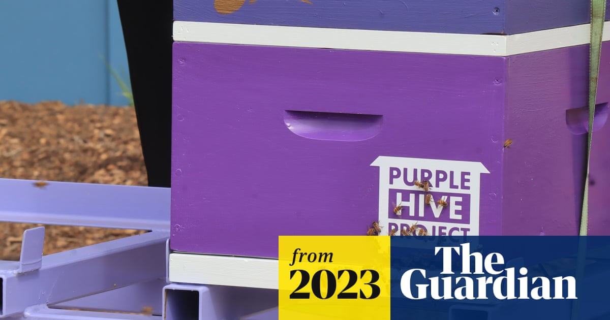 AgtechTutor's tweet card. The purple hives are equipped with high-definition cameras and AI technology to scan bees for the deadly parasite