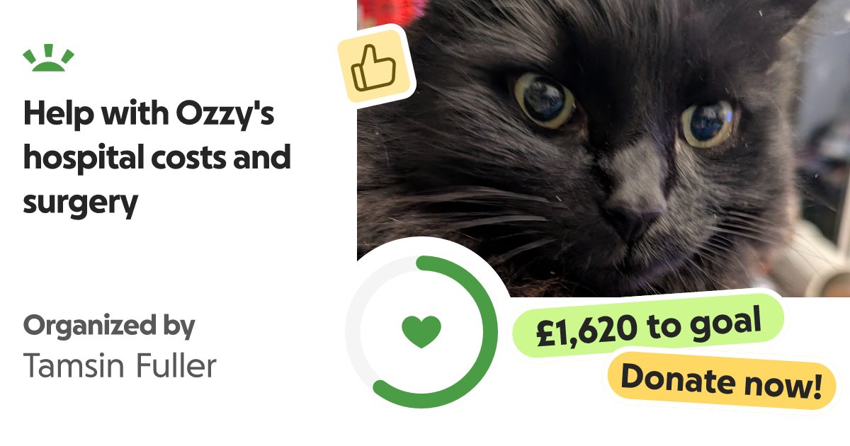 deltabug's tweet card. Hello! One if my little furballs is in need of help. You may be aware of wh… Tamsin Fuller needs your support for Help with Ozzy's hospital costs and surgery