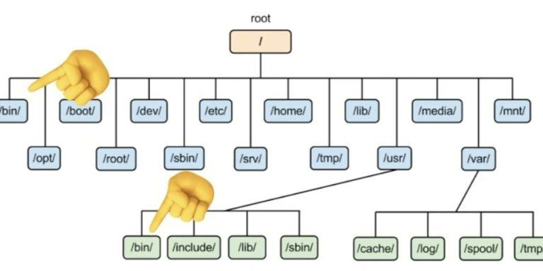 BilalTariq01's tweet card. Have you ever wondered why there are two bin directories, one in root /bin and one in...