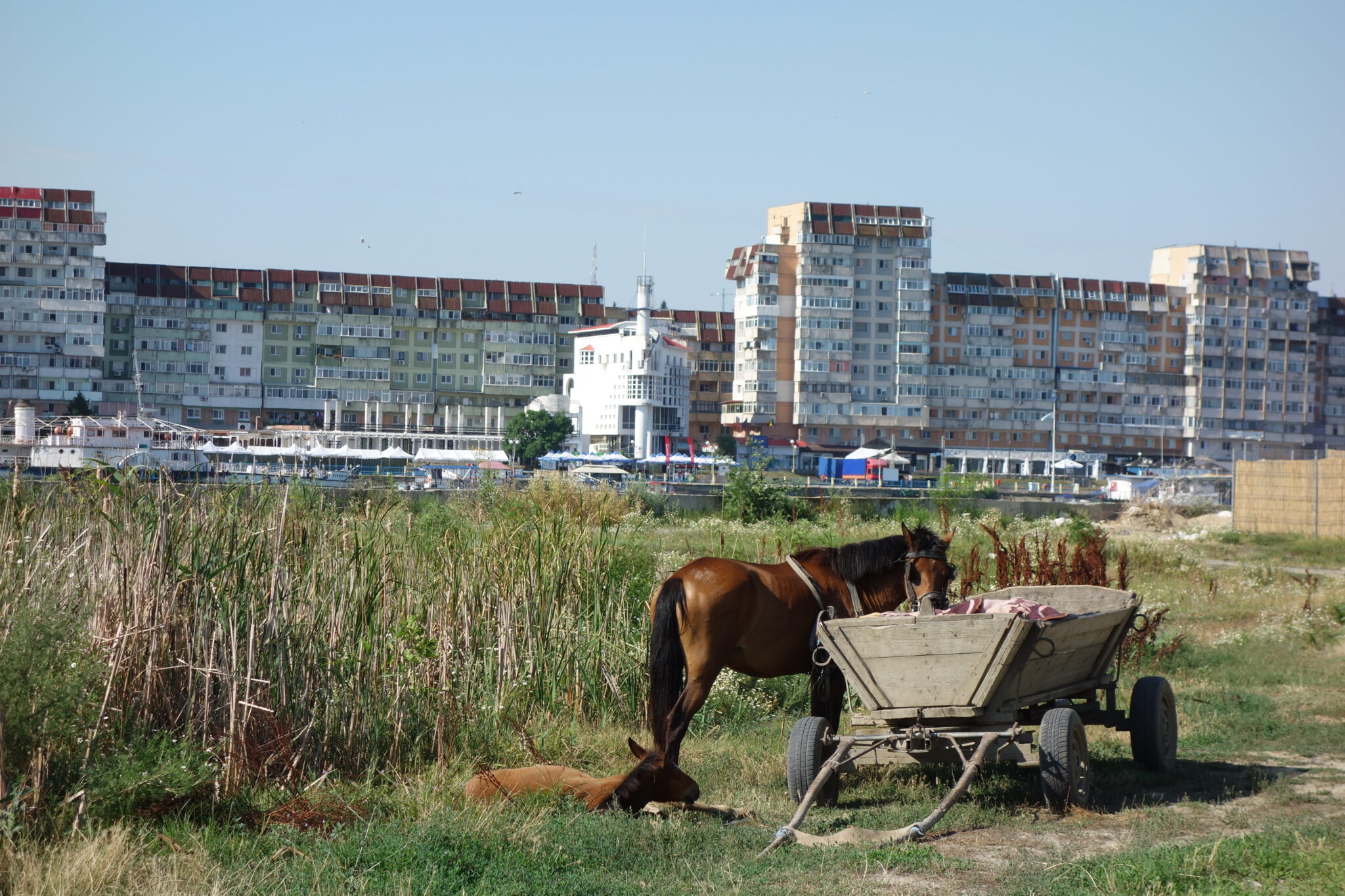 createinterface's tweet card. What are the benefits of targeting food in the food-water-energy nexus? Is is time to govern these resources differently in cities? The Creating Interfaces project has carried out international…
