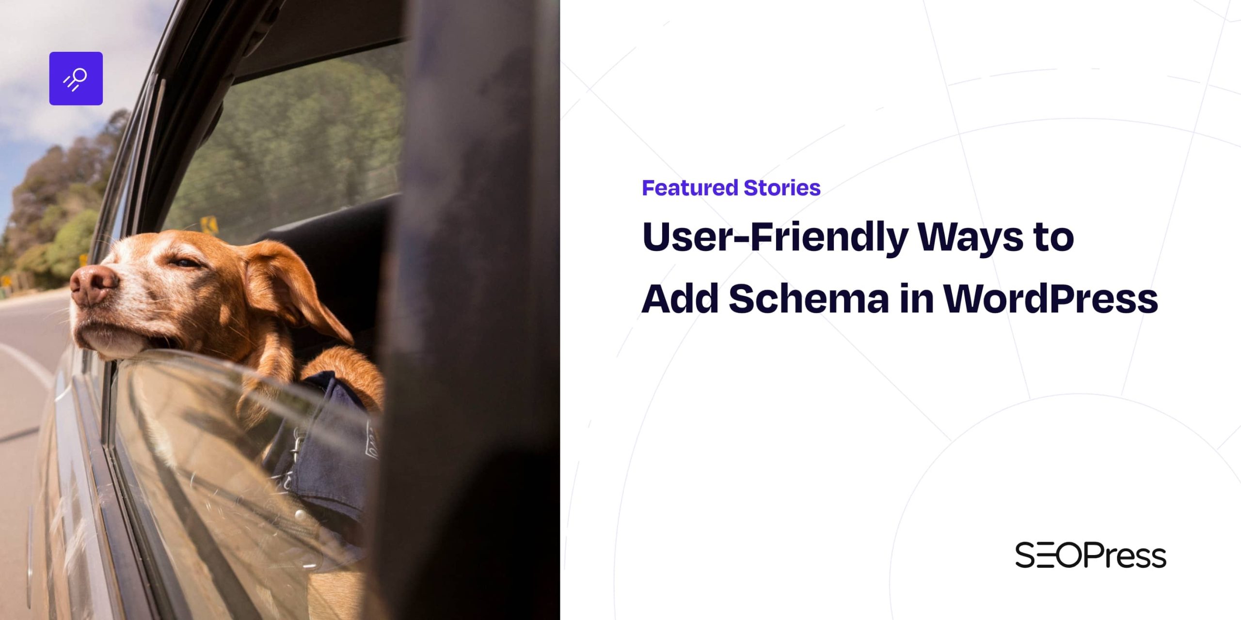 wp_seopress's tweet card. Add schema to WordPress effortlessly! Explore top plugins, manual steps, and optimize for rich snippets to enhance your site's visibility.