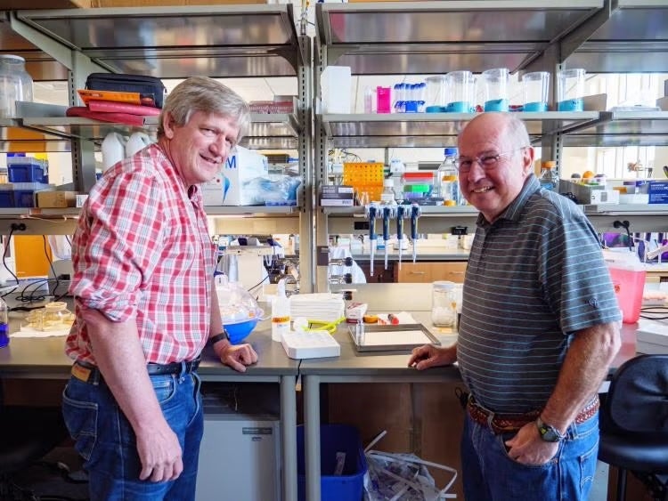 CUEngineering's tweet card. CU Boulder researchers, led by Ted Randolph, a professor in the Department of Chemical and Biological Engineering, have developed a groundbreaking