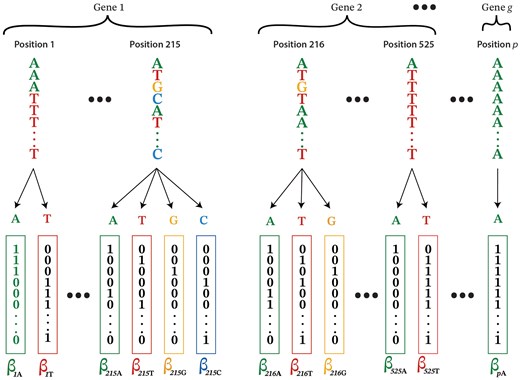 evol_genomics's tweet card. Abstract. Evolutionary sparse learning uses supervised machine learning to build evolutionary models where genomic sites loci are parameters. It uses the L