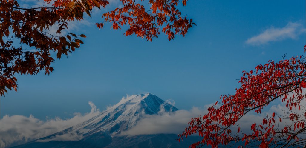 Expedia's tweet card. Expedia®’s Fall Travel Outlook, released today, reveals key dates for budget-friendly travel this season.