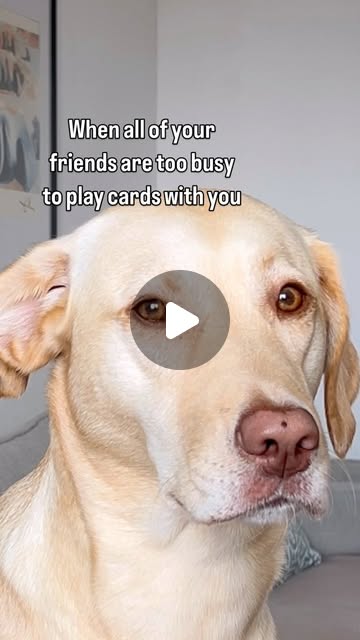 BrainstormBizn's tweet card. Cara (@cara_mtg) • Instagram reel