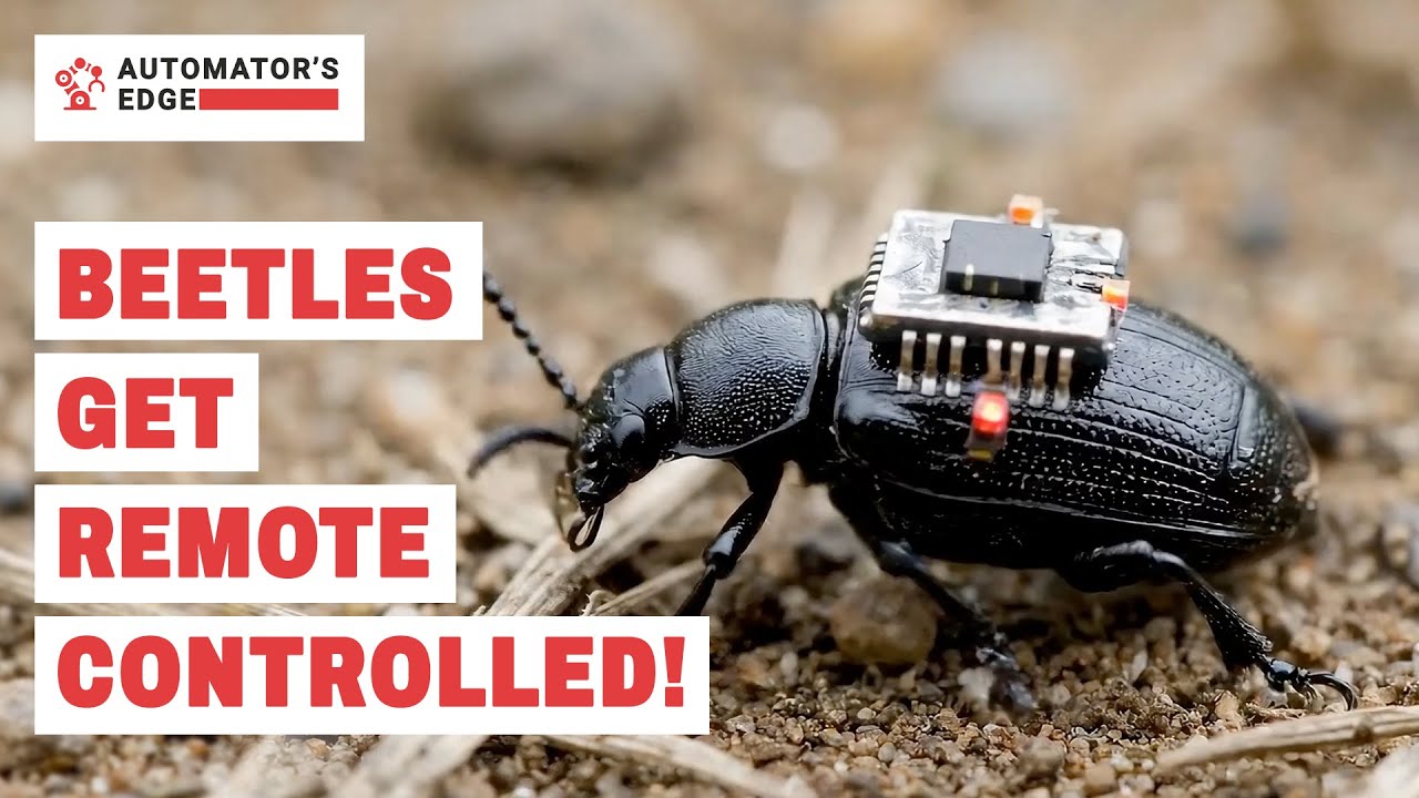 CtrlAutomation's tweet card. Automator's Edge | Ep. 64 | Remote Controlled Beetles